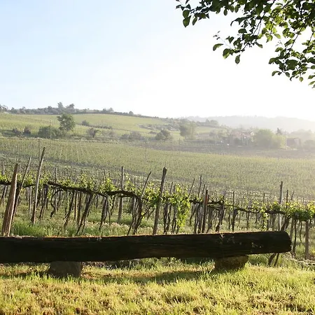 Chianti Yoga - The Tuscan Collection 3* Greve in Chianti