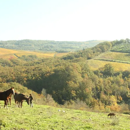 Hotel Chianti Yoga - The Tuscan Collection 3*