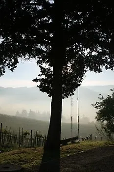 Chianti Yoga - The Tuscan Collection